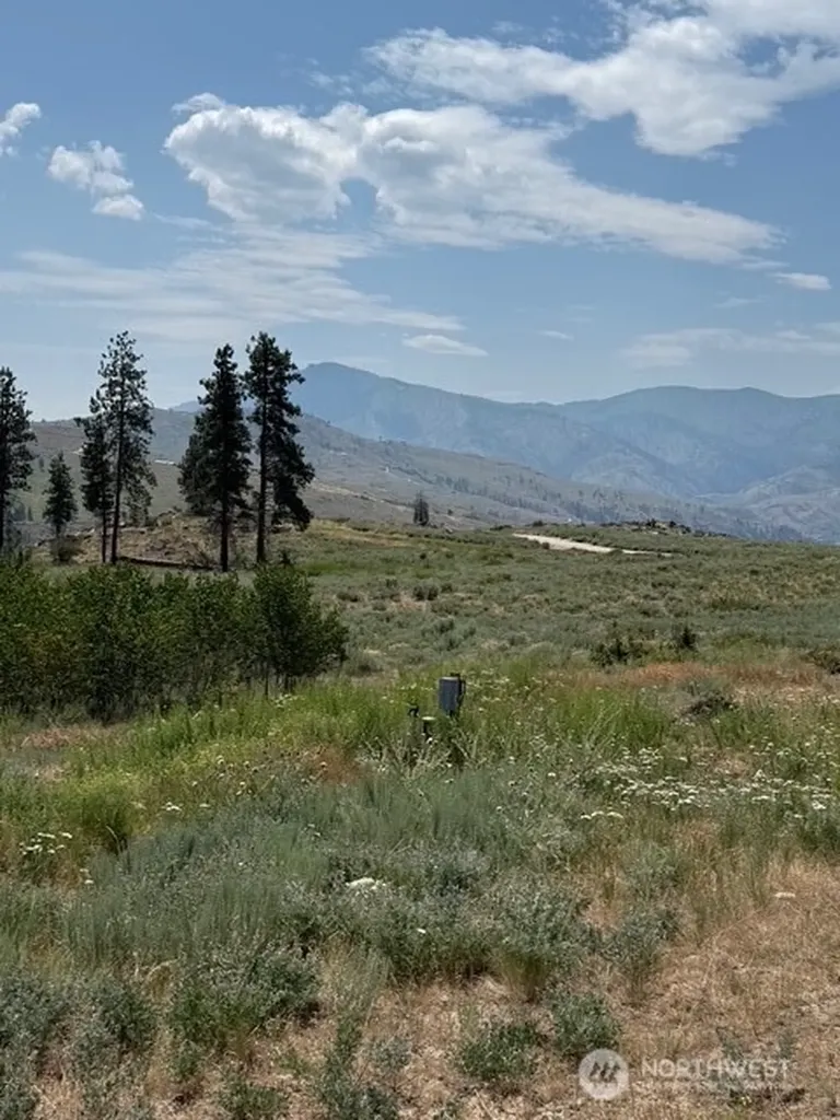 3 Ruttin Ridge Road Methow WA 98834