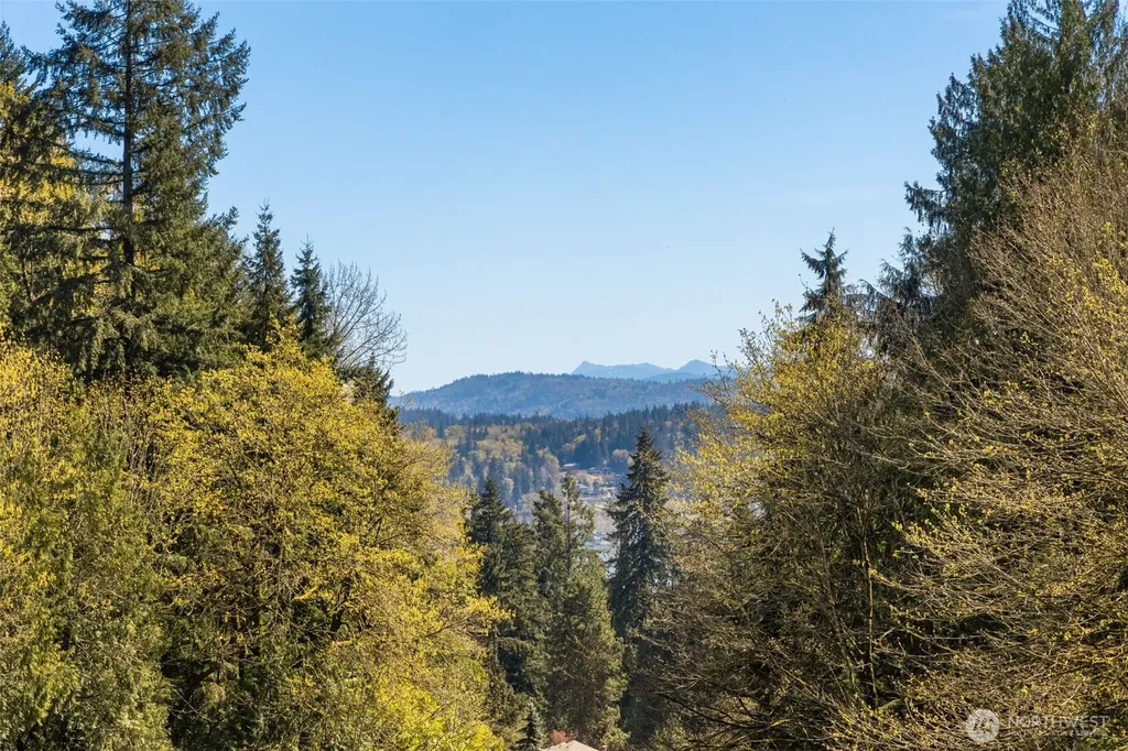 243 169th Avenue NE Bellevue WA 98008