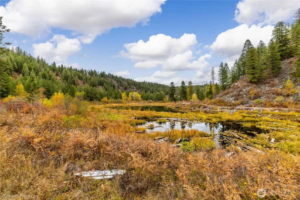 8 Camden Road Elk WA 99009