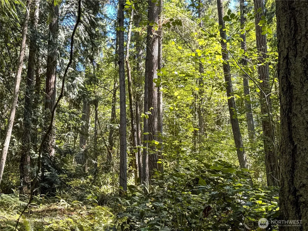 10 To Forest Rock Lane NE Poulsbo WA 98370