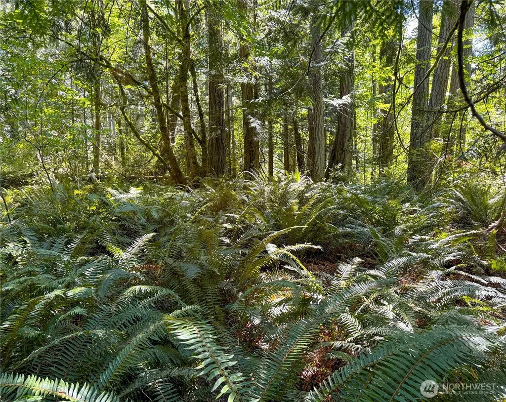 10 To Forest Rock Lane NE Poulsbo WA 98370