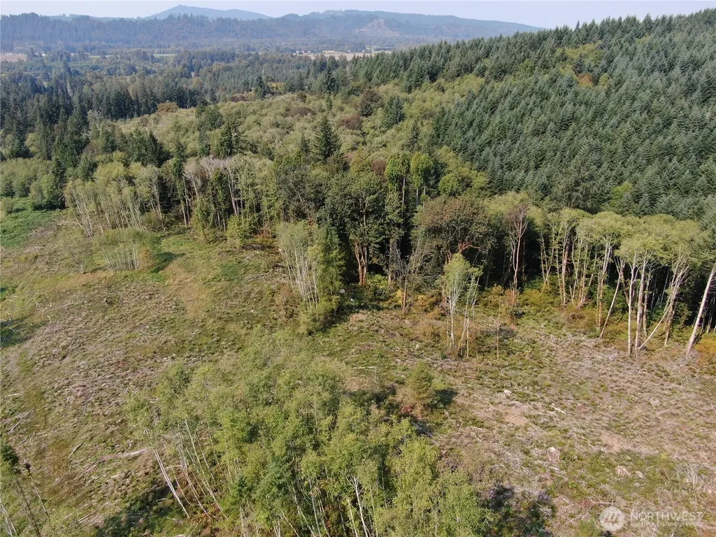 0 Cedar Creek Road Oakville WA 98568