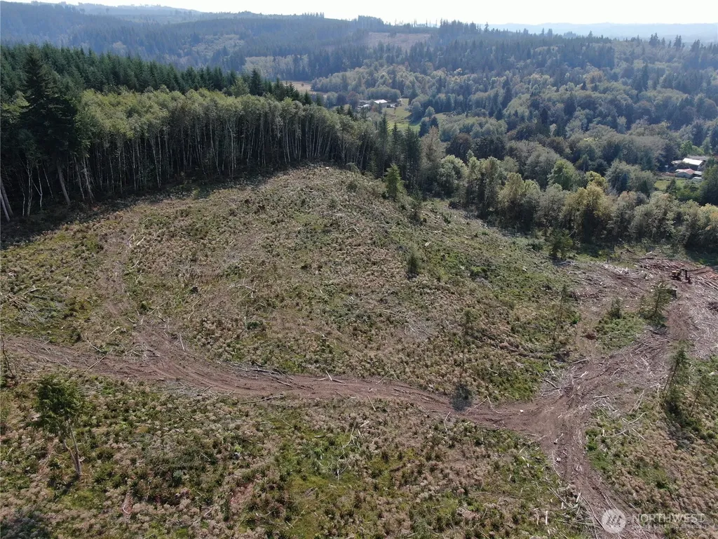 0 Cedar Creek Road Oakville WA 98568