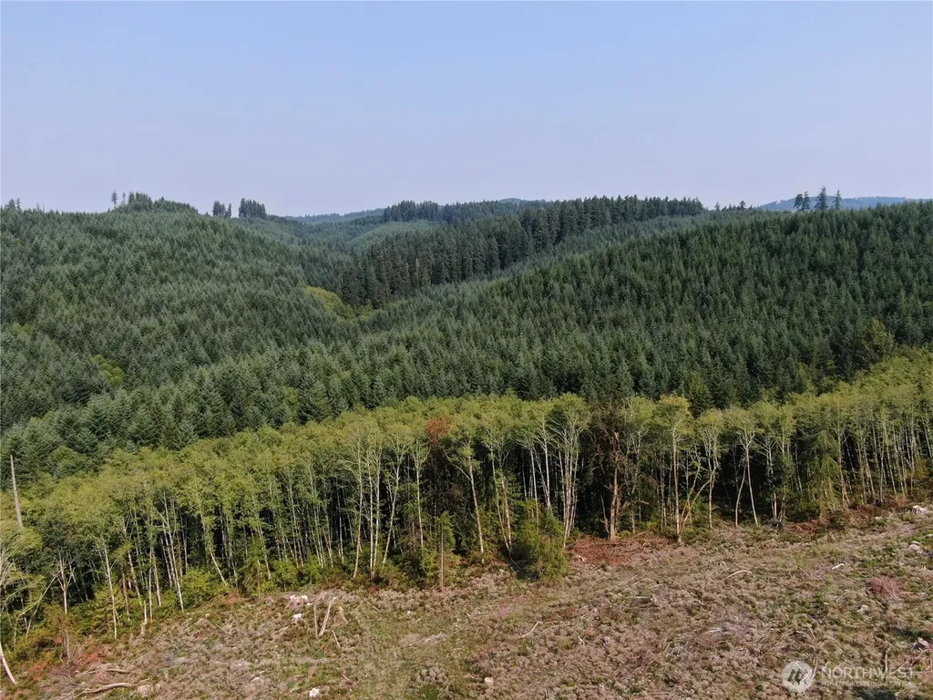 0 Cedar Creek Road Oakville WA 98568