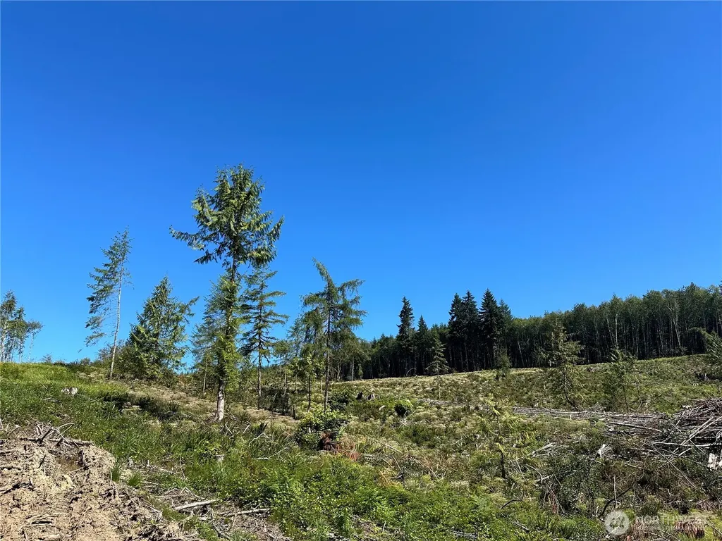 0 Cedar Creek Road Oakville WA 98568
