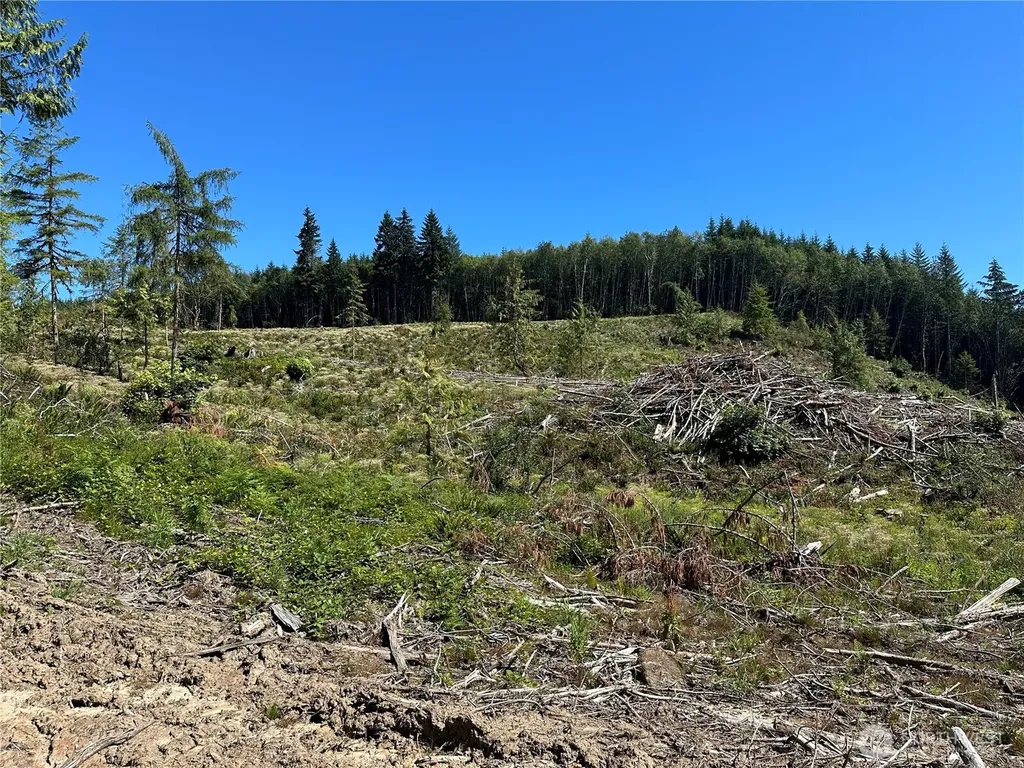 0 Cedar Creek Road Oakville WA 98568