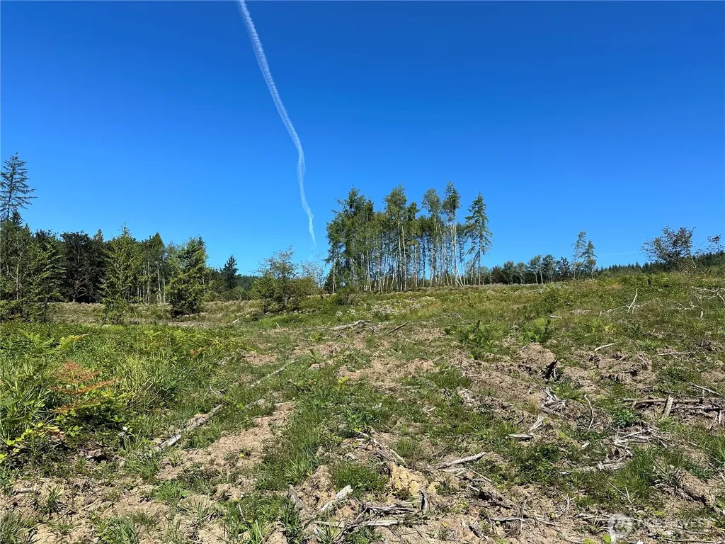 0 Cedar Creek Road Oakville WA 98568