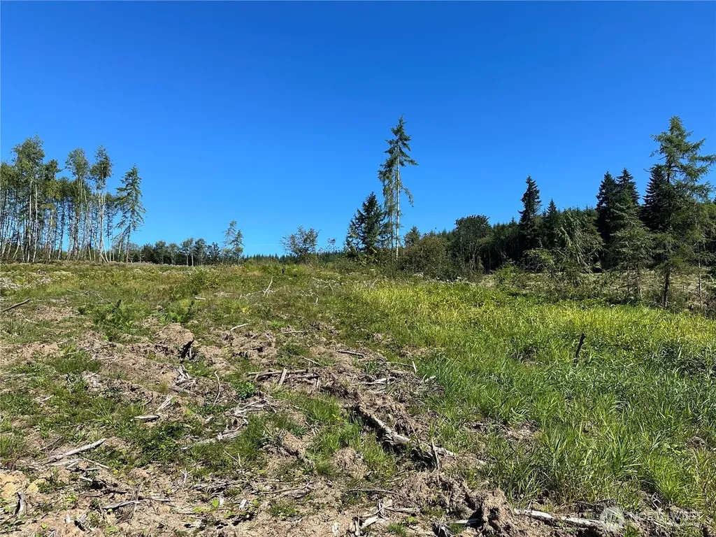 0 Cedar Creek Road Oakville WA 98568