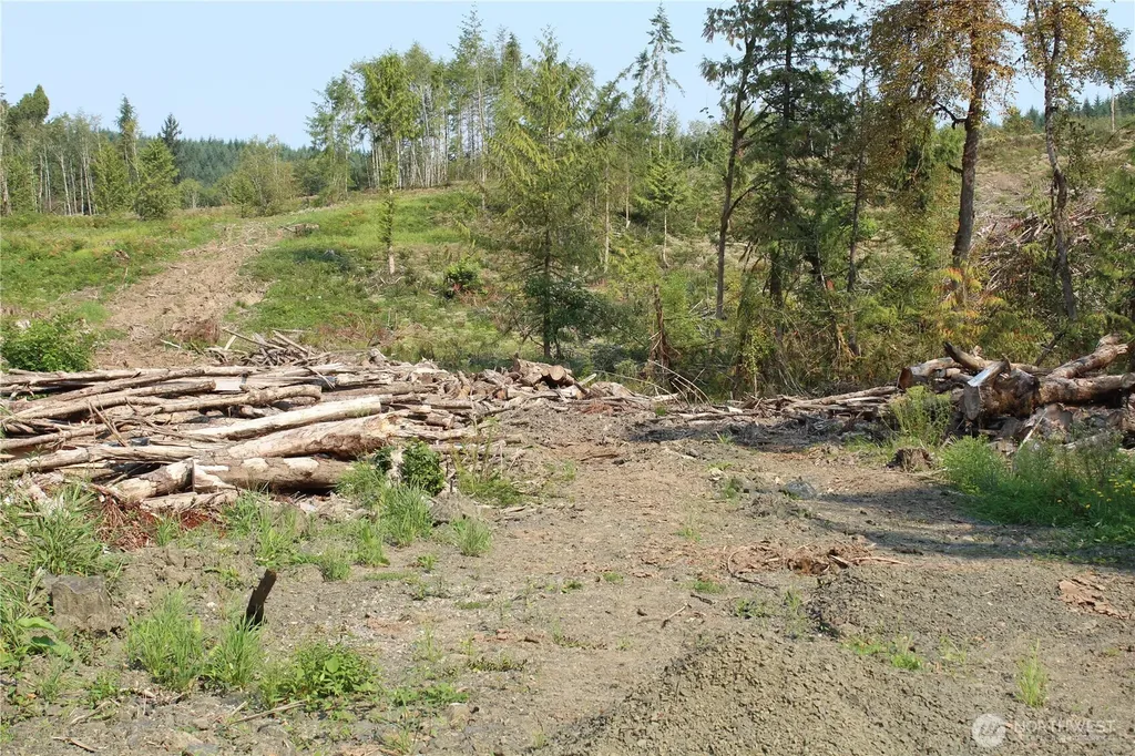 0 Cedar Creek Road Oakville WA 98568