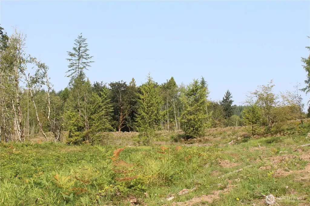 0 Cedar Creek Road Oakville WA 98568