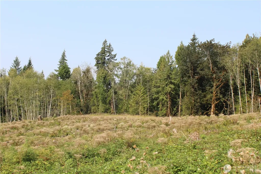 0 Cedar Creek Road Oakville WA 98568