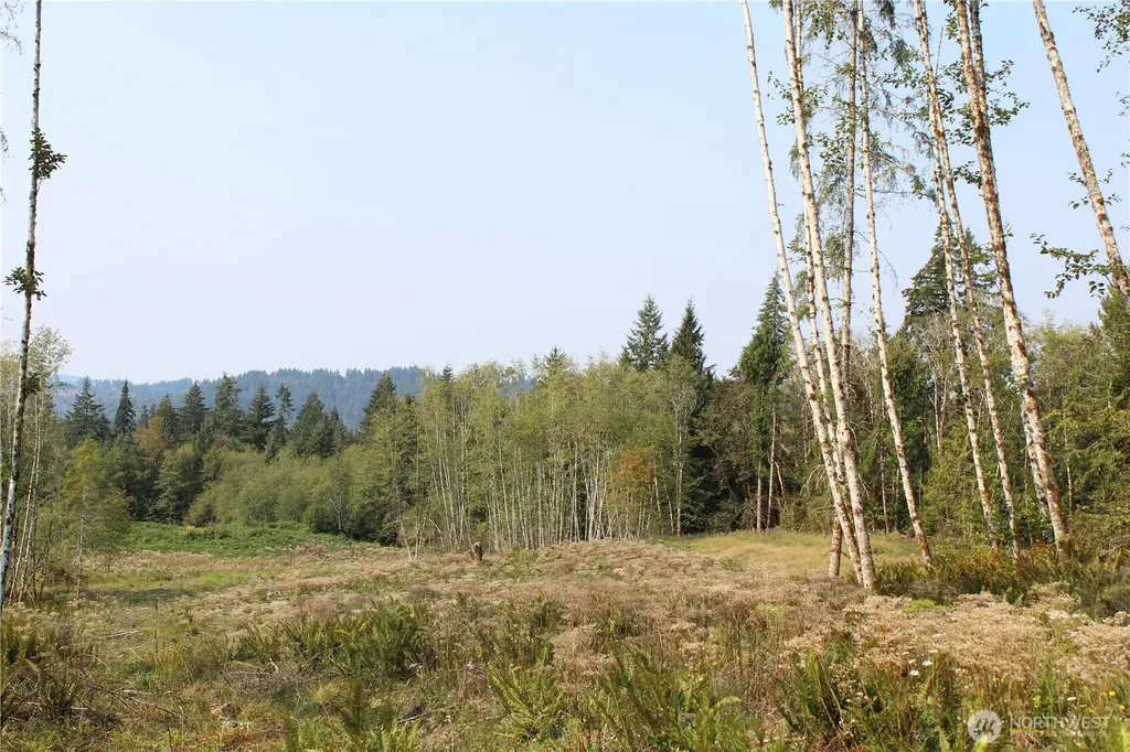 0 Cedar Creek Road Oakville WA 98568