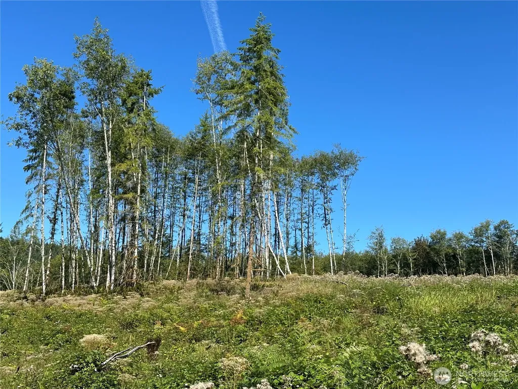 0 Cedar Creek Road Oakville WA 98568