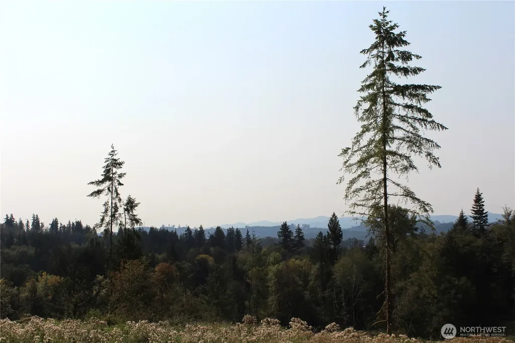 0 Cedar Creek Road Oakville WA 98568