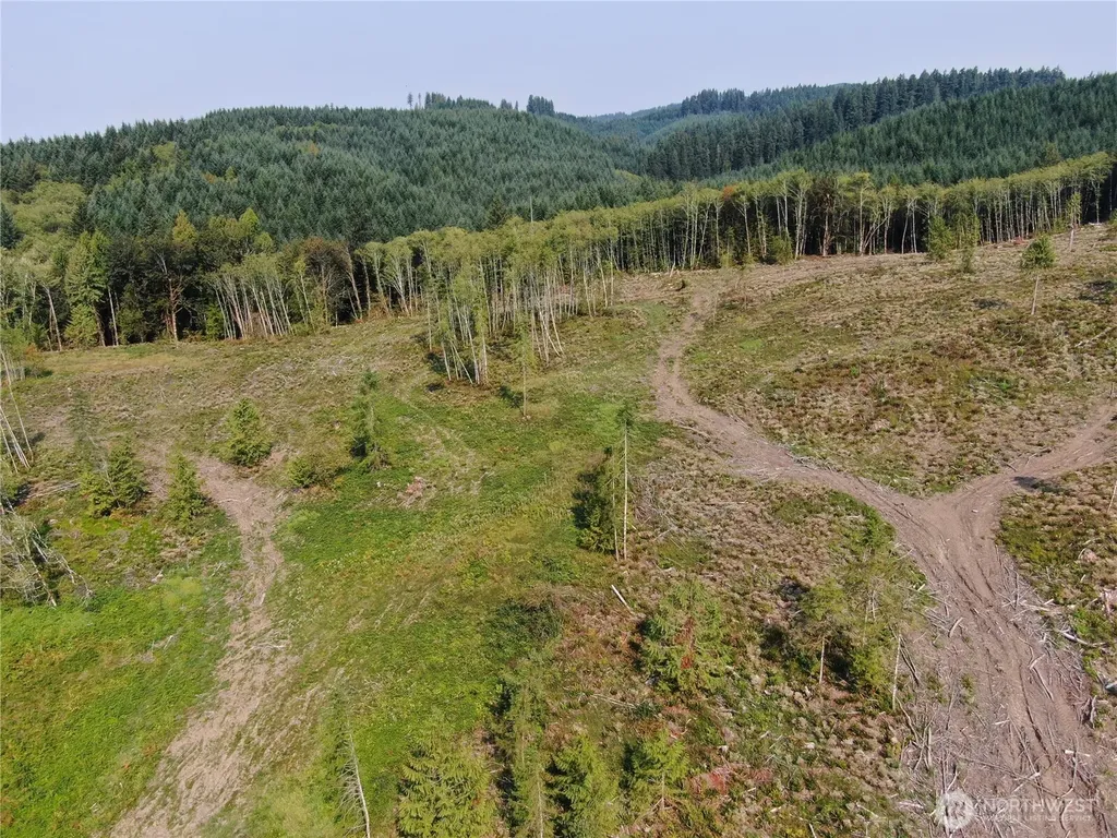 0 Cedar Creek Road Oakville WA 98568