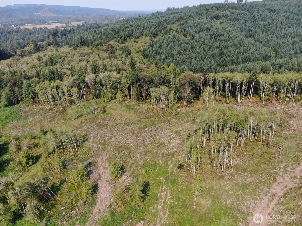 0 Cedar Creek Road Oakville WA 98568