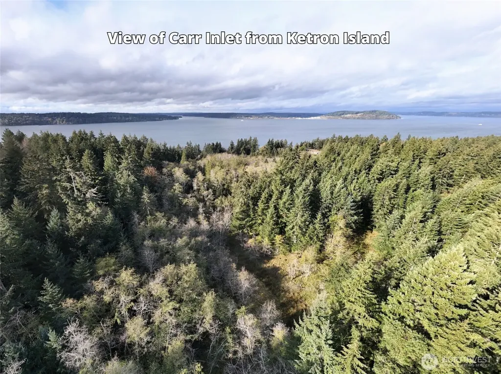 10909 W Morris Boulevard Steilacoom WA 98388