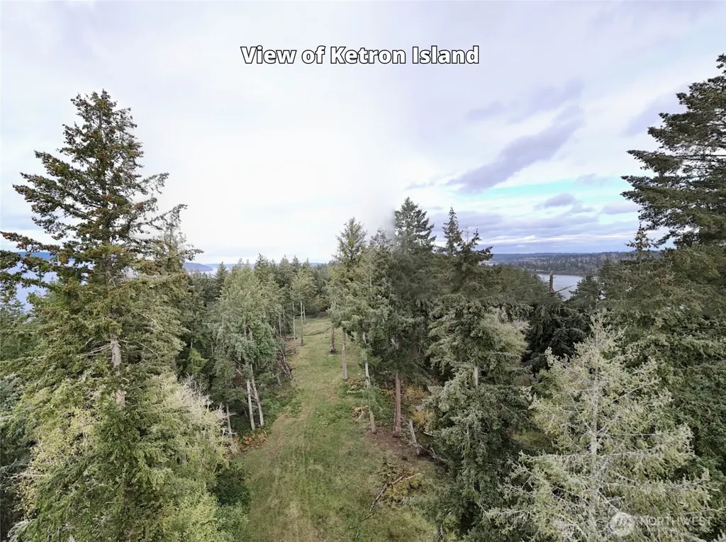 10909 W Morris Boulevard Steilacoom WA 98388