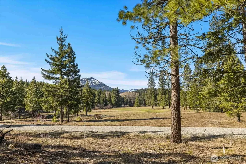 64 Liberty Bell Lane Cle Elum WA 98922