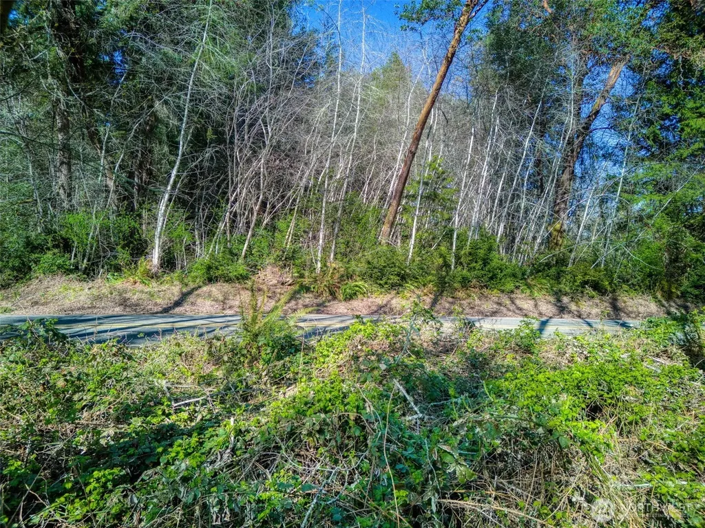 0 Whiteman Rd SW Lakebay WA 98349