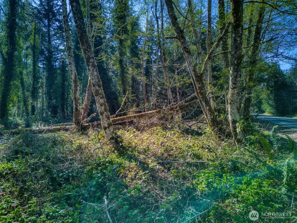 0 Whiteman Rd SW Lakebay WA 98349