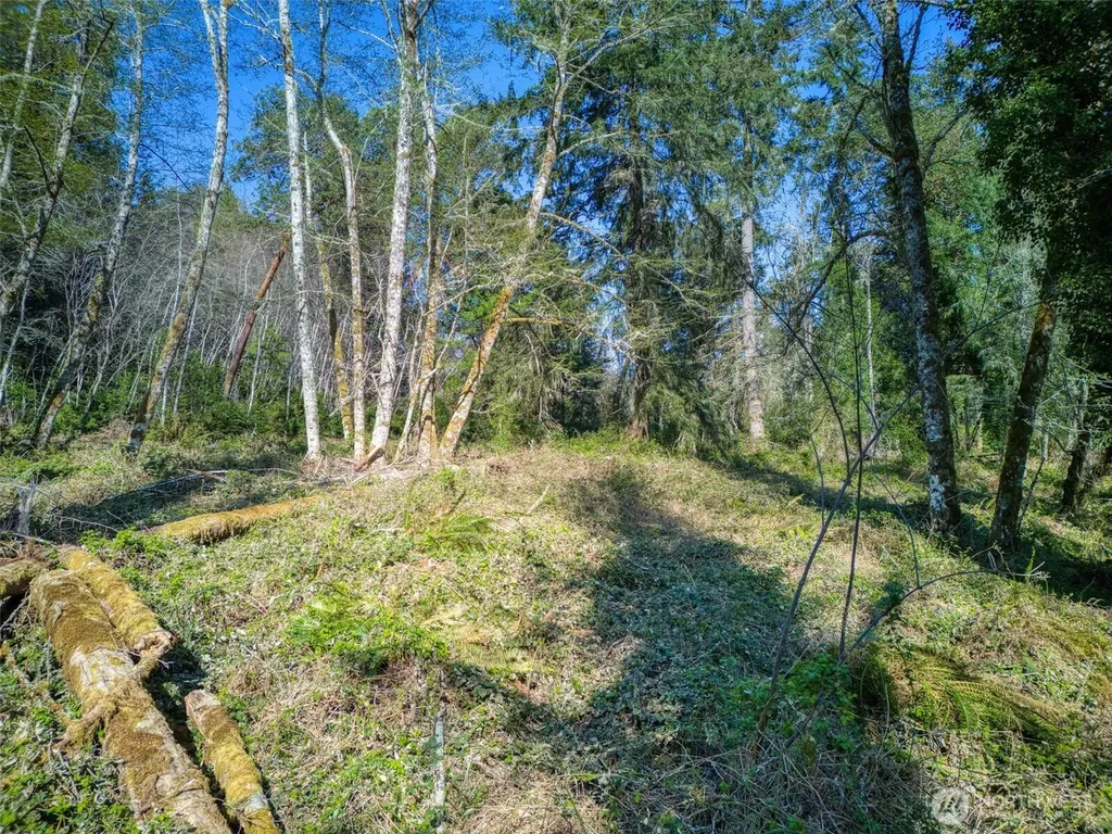 0 Whiteman Rd SW Lakebay WA 98349