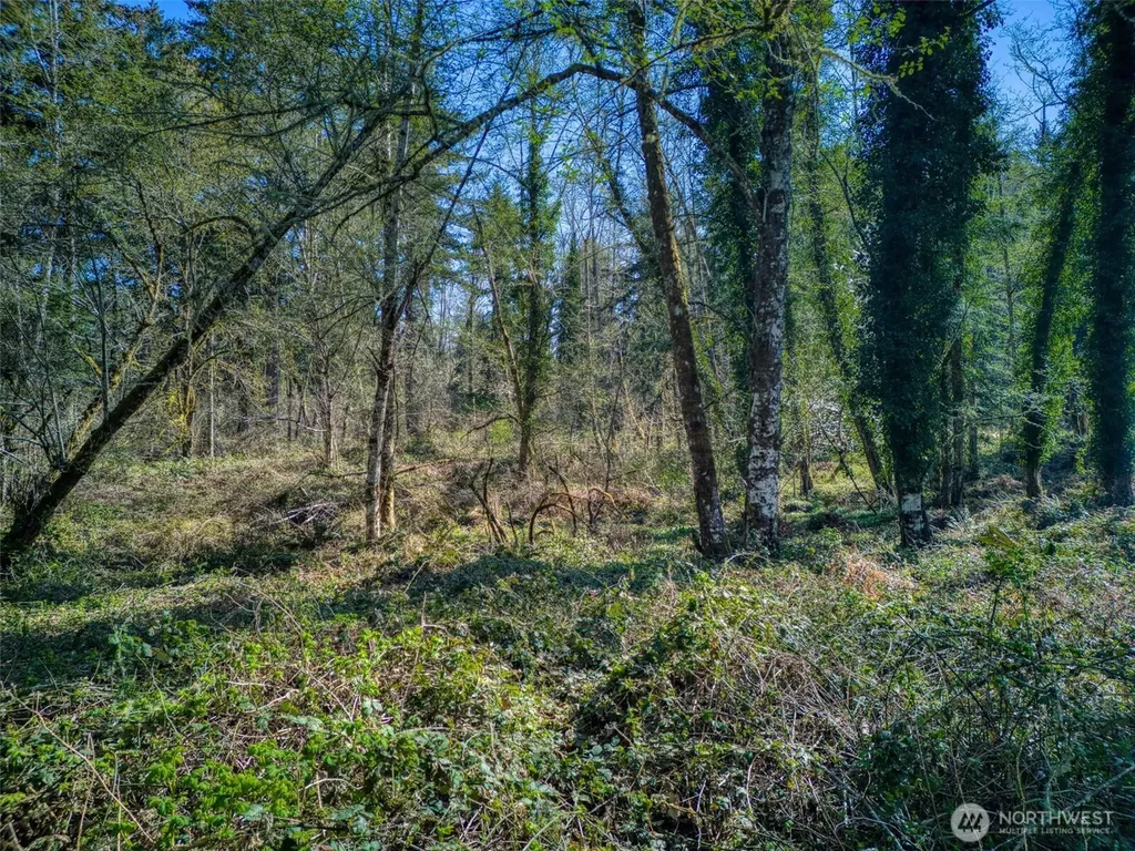 0 Whiteman Rd SW Lakebay WA 98349