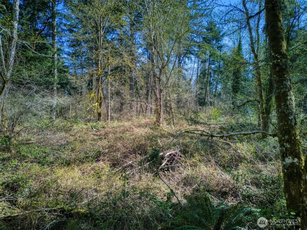 0 Whiteman Rd SW Lakebay WA 98349