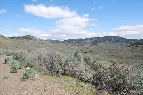 0 Lower White Road Tonasket WA 98855
