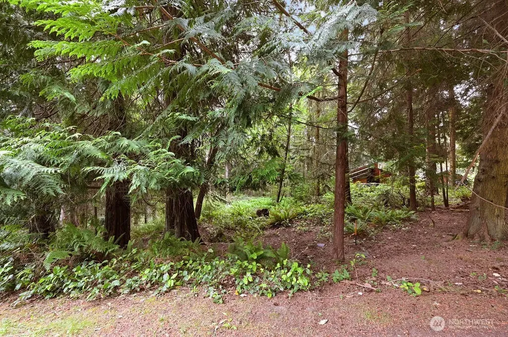 241 Belvedere Drive Port Townsend WA 98368