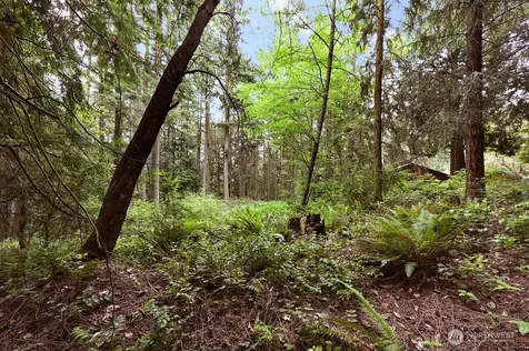241 Belvedere Drive Port Townsend WA 98368