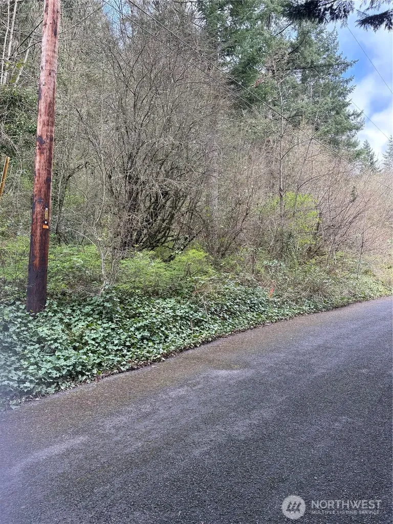 0 NE Jefferson Street Chehalis WA 98532