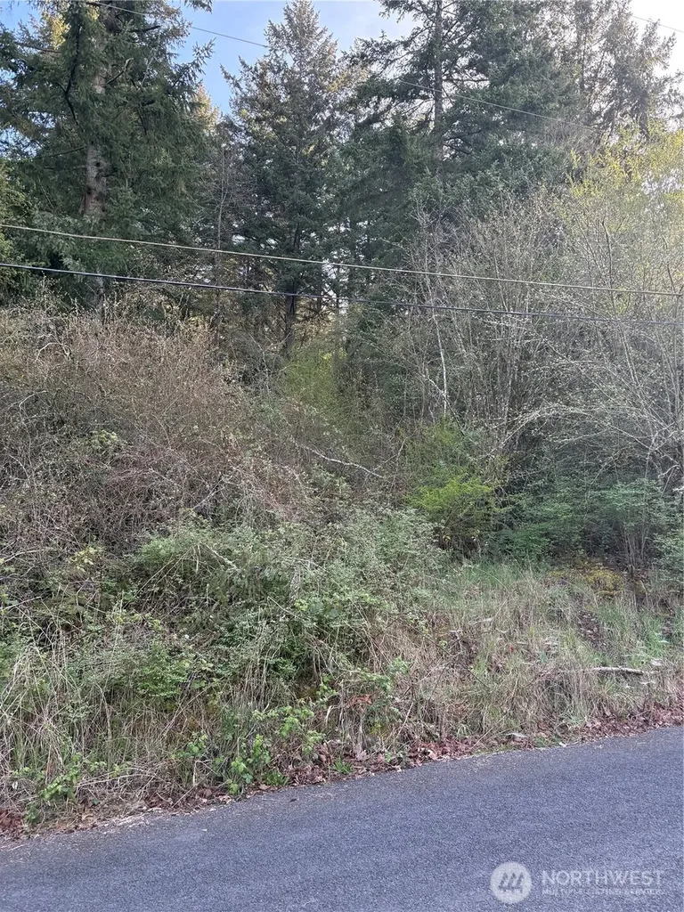0 NE Jefferson Street Chehalis WA 98532