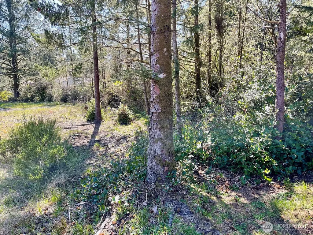 583 Meadow Avenue NE Ocean Shores WA 98569