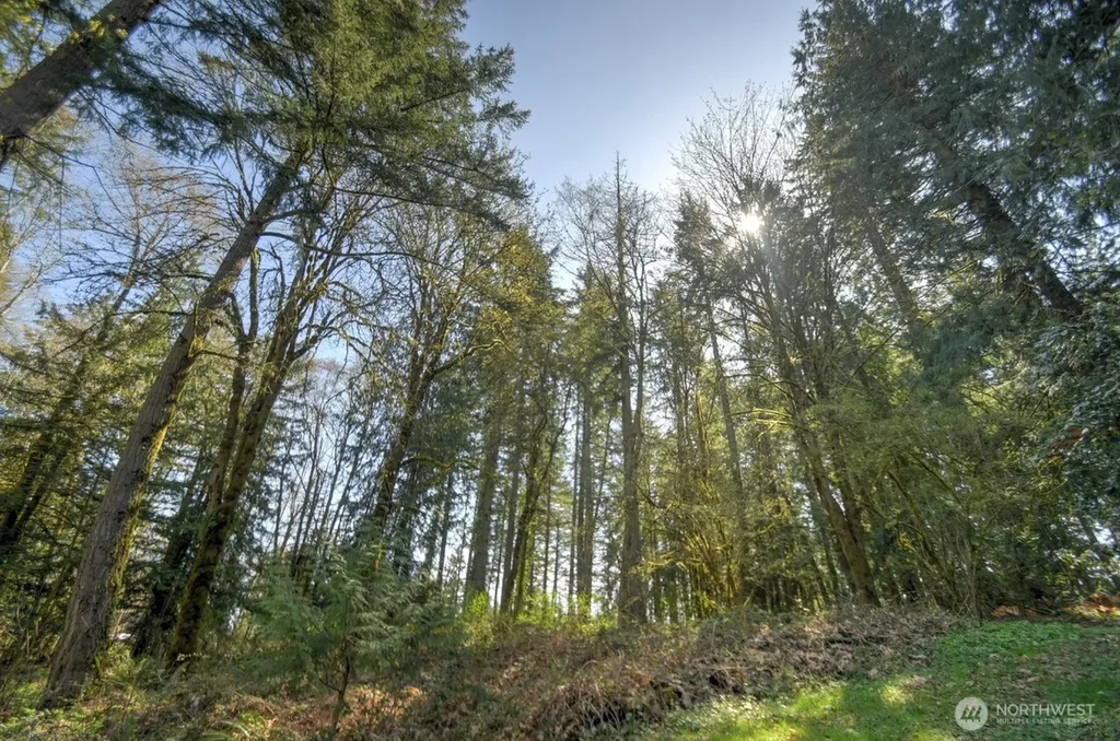 7640 Holiday Valley Drive NW Olympia WA 98502