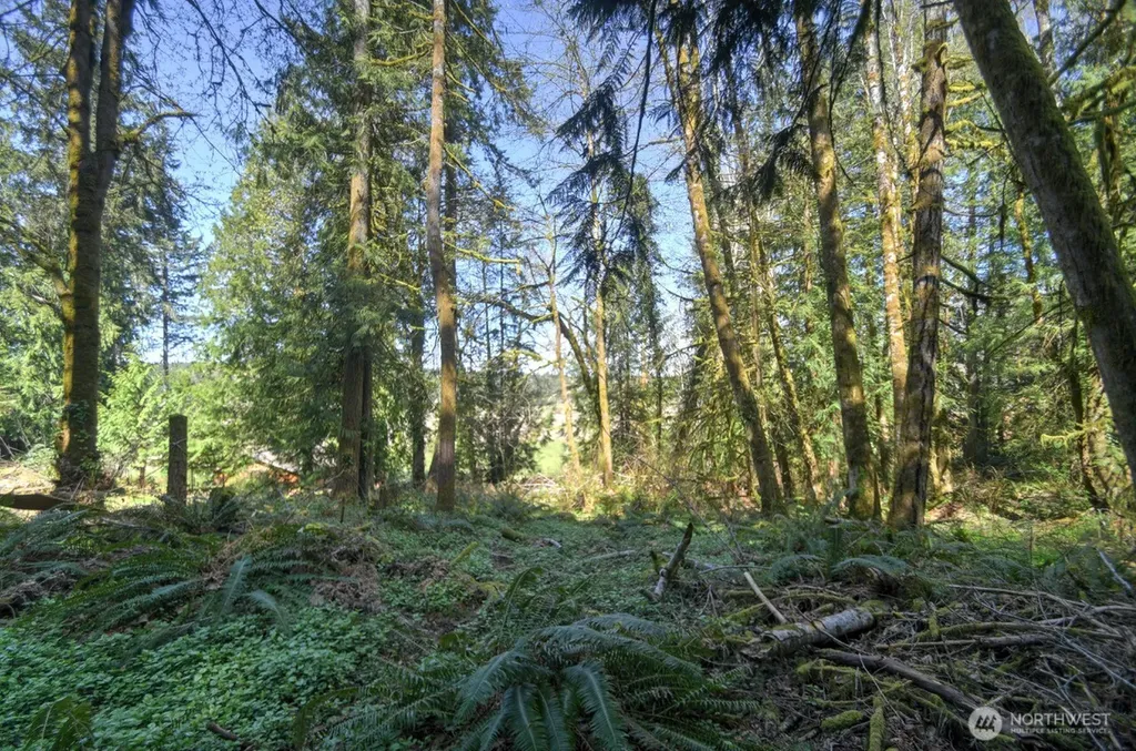 7640 Holiday Valley Drive NW Olympia WA 98502