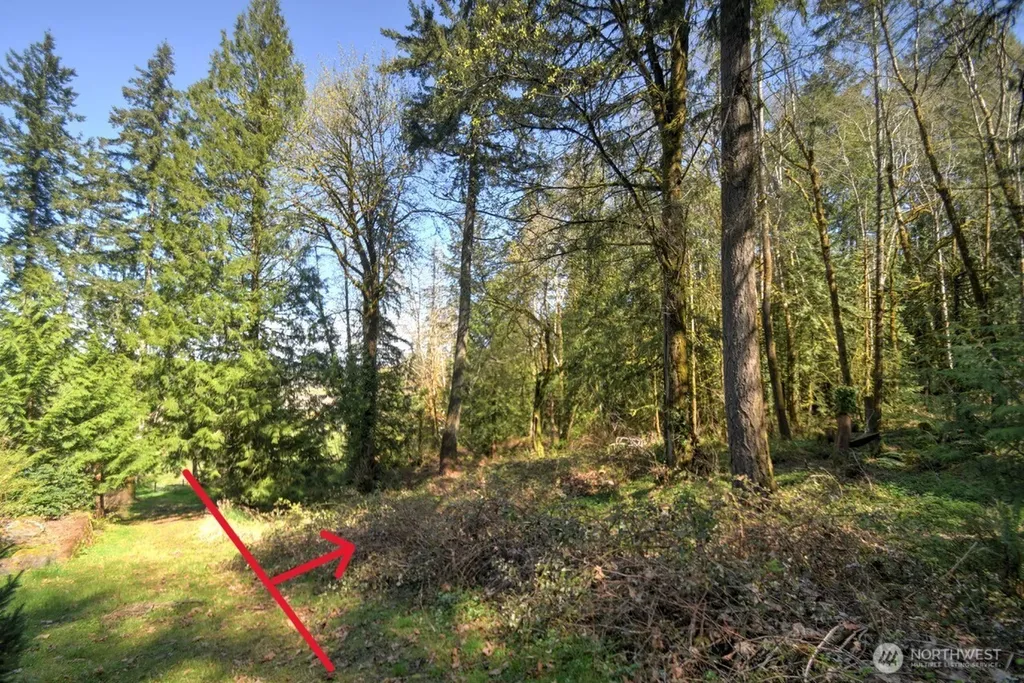 7640 Holiday Valley Drive NW Olympia WA 98502