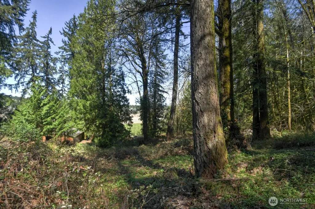 7640 Holiday Valley Drive NW Olympia WA 98502