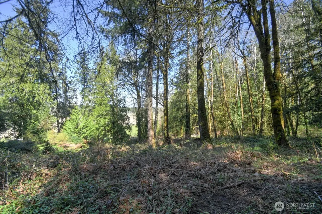 7640 Holiday Valley Drive NW Olympia WA 98502
