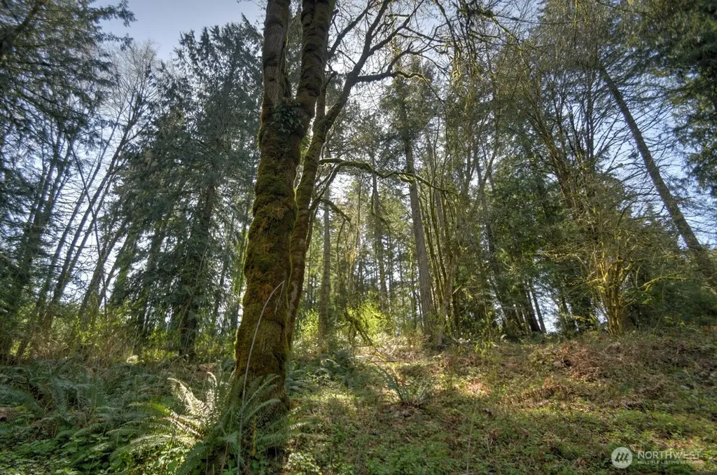 7640 Holiday Valley Drive NW Olympia WA 98502