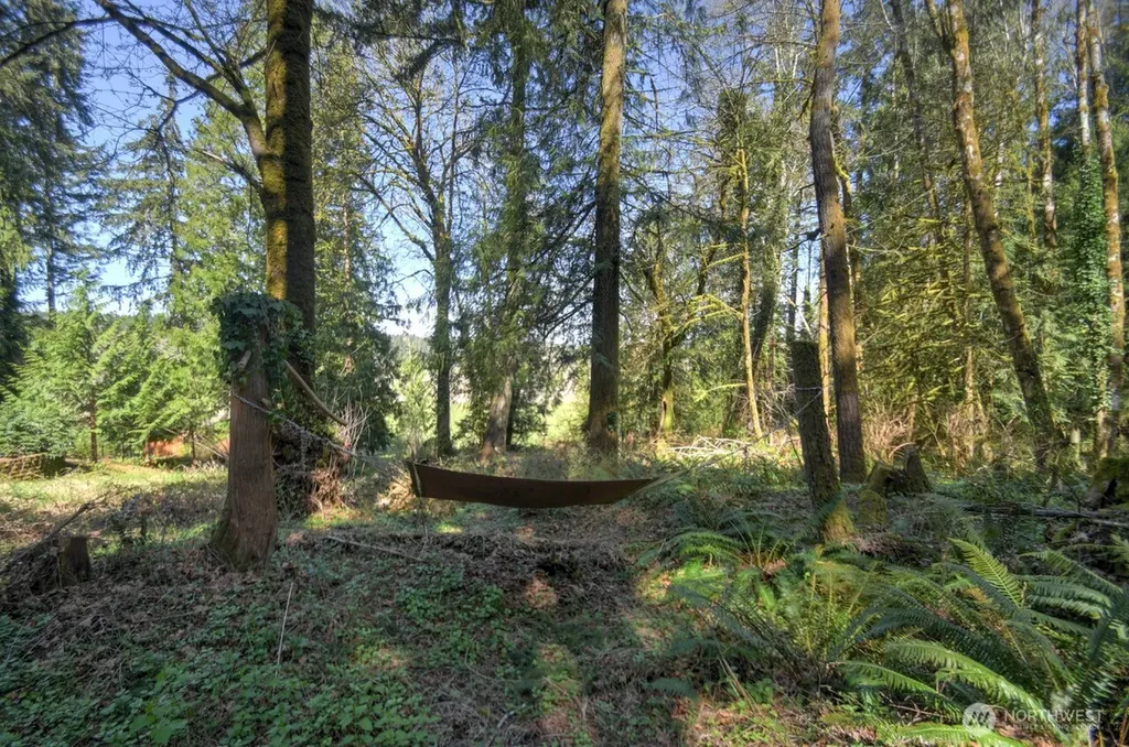 7640 Holiday Valley Drive NW Olympia WA 98502