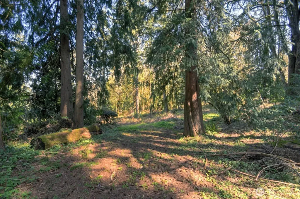 7640 Holiday Valley Drive NW Olympia WA 98502
