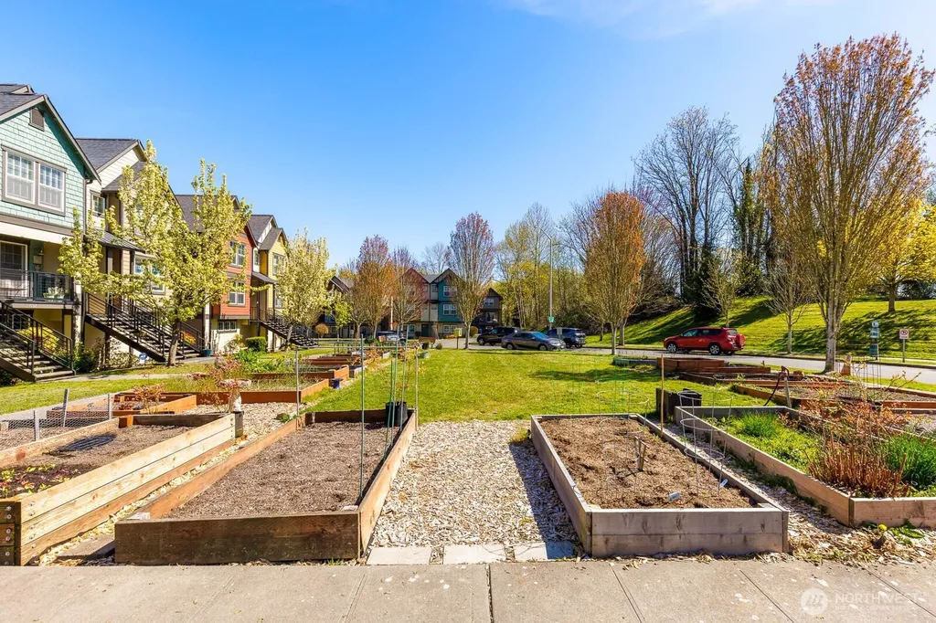 7123 Shinkle Place SW Seattle WA 98106