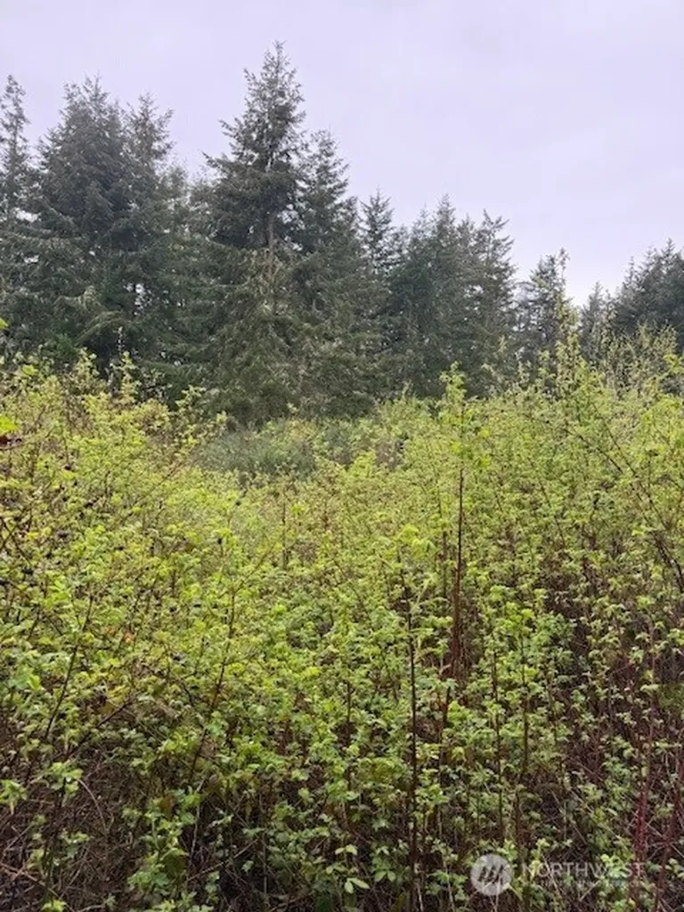 1 30th Street Port Townsend WA 98368