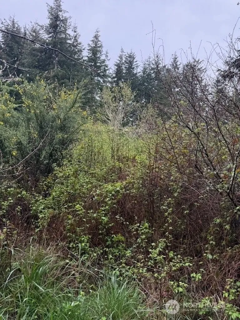 1 Katherine Street Port Townsend WA 98368