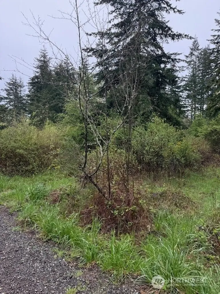1 Katherine Street Port Townsend WA 98368