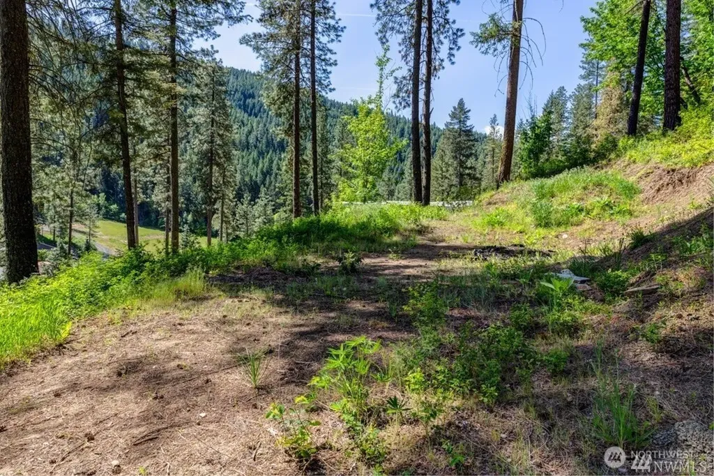 11200 Eagle Creek Road Leavenworth WA 98826