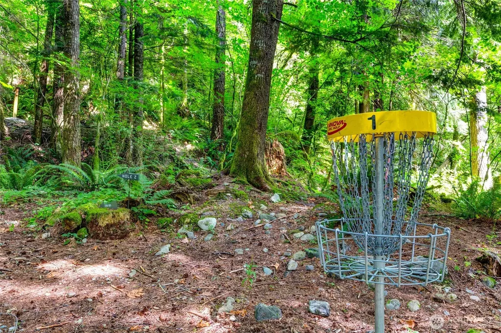19 Big Tree Drive Deming WA 98244