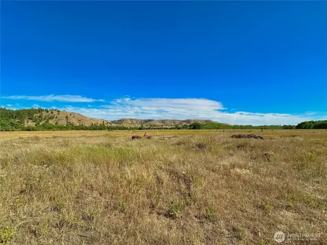 1111 Nna Hwy 155 Drive Nespelem WA 99155