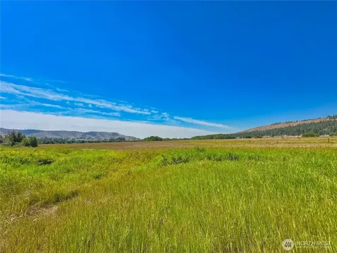 1111 Nna Hwy 155 Drive Nespelem WA 99155